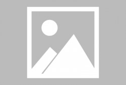 白术技能最新爆料,神秘力量觉醒，战力再升级！